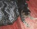 Thumbs/tn_Sterne 029.jpg